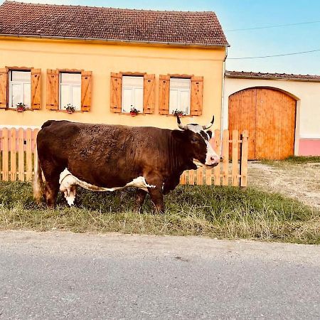 Chalet Giuel Barcut Zewnętrze zdjęcie