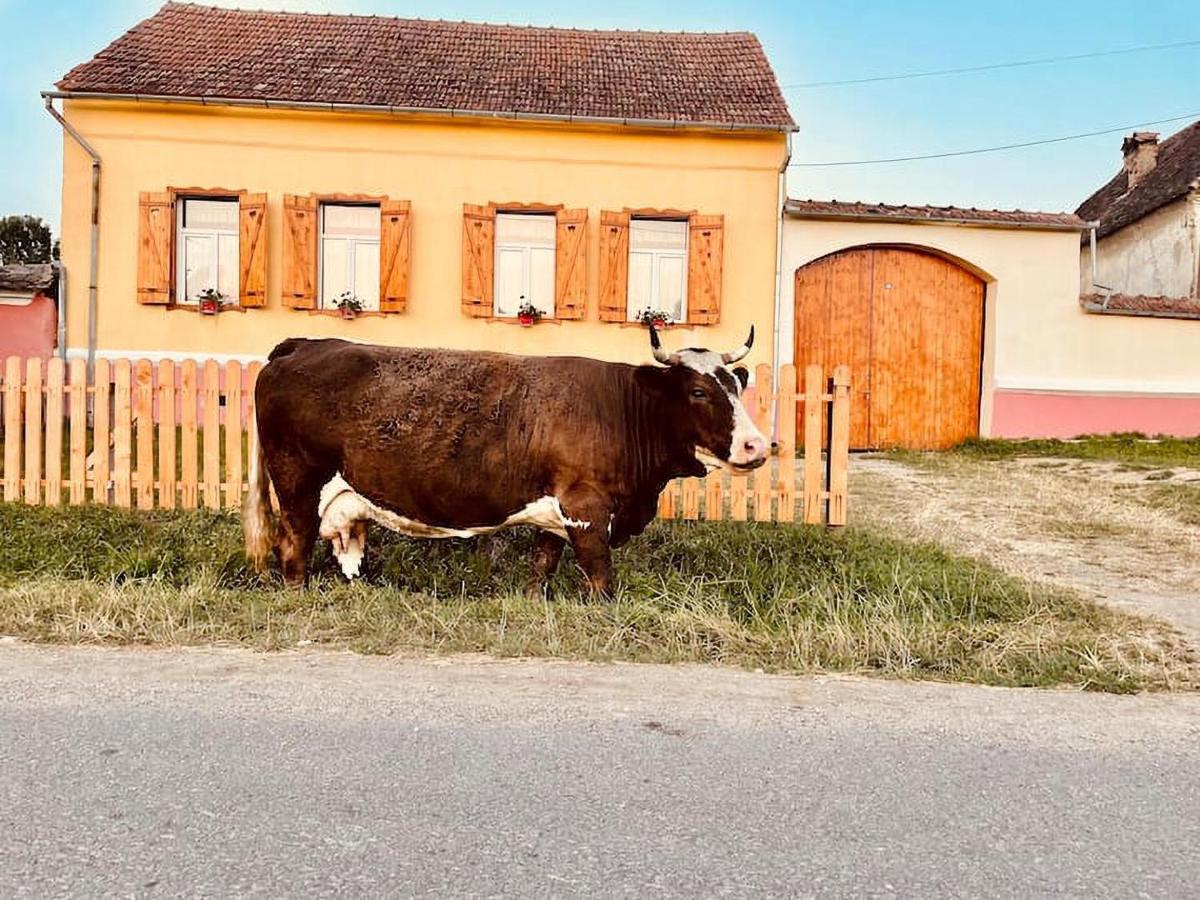Chalet Giuel Barcut Zewnętrze zdjęcie